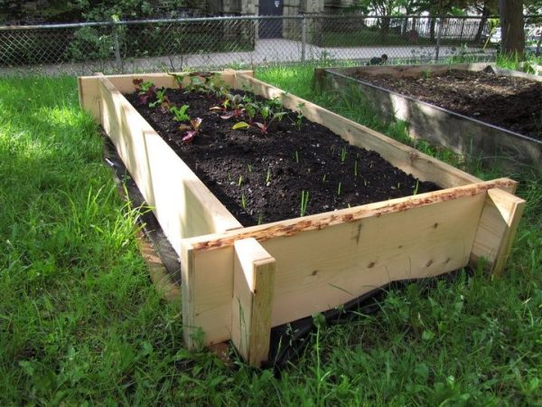 Now Selling Raised Garden Boxes